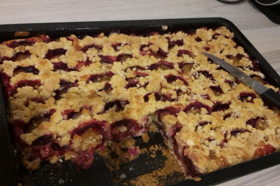 Zwetschgenkuchen mit Joghurtboden