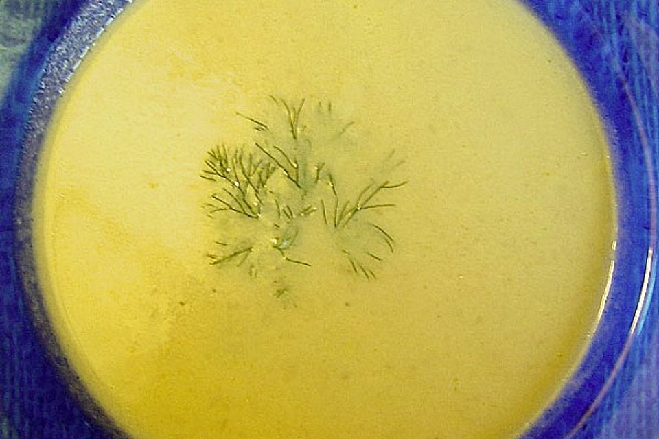 Fenchelsuppe