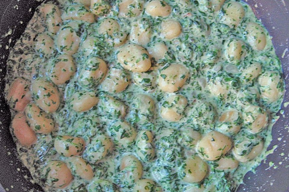 Gnocchi in Spinatkäsesoße