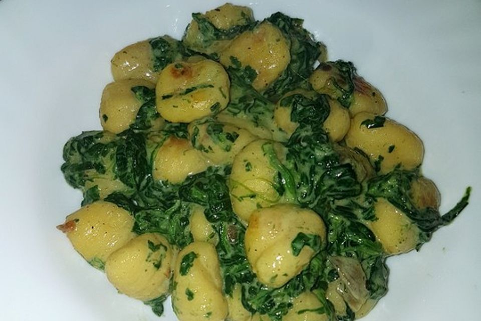 Gnocchi in Spinatkäsesoße