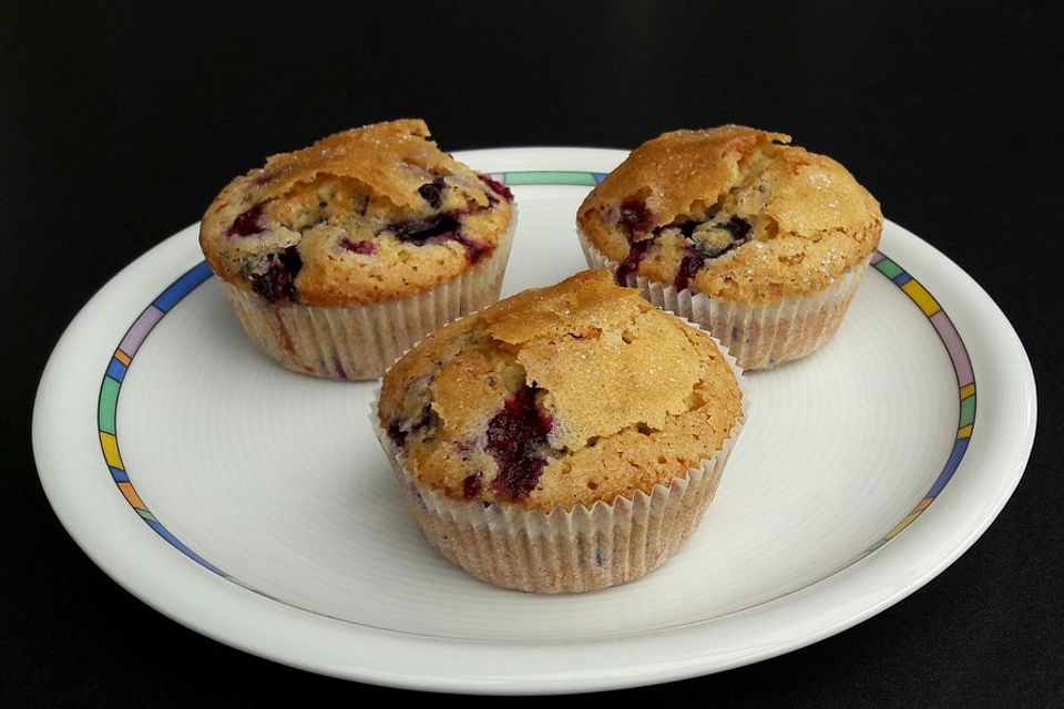 The best blueberry Muffins