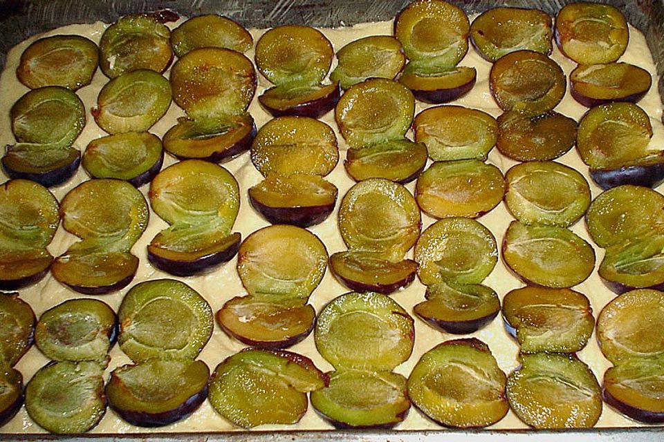 Pflaumenkuchen mit Streuseln auf dem Blech