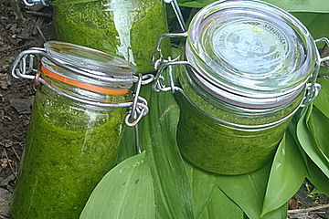 Schrats Bärlauchpesto