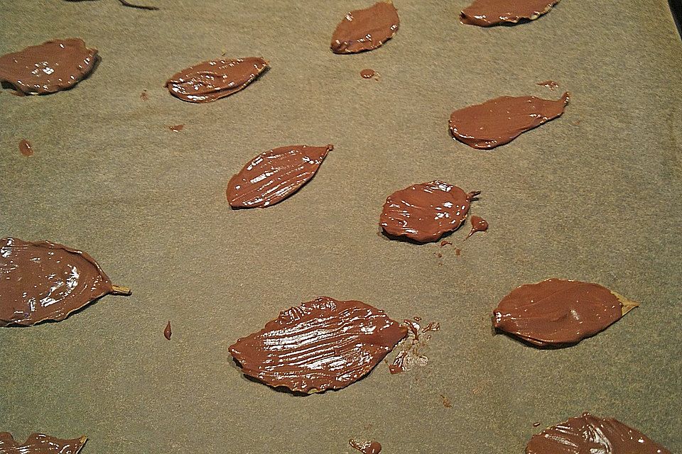 Schokoladenblätter Schokoladenblätter
