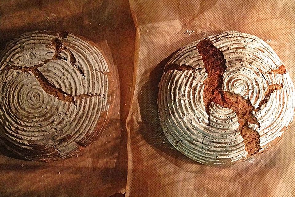 Roggenmischbrot aus Sauerteig