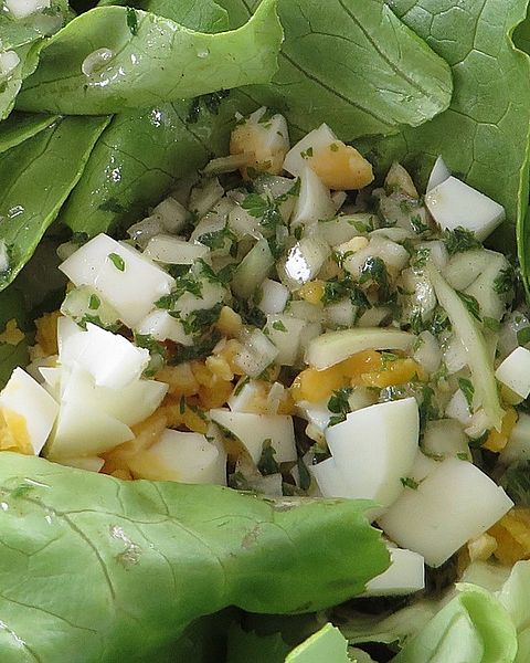 Kopfsalat Rezepte | Chefkoch Kopfsalat Rezepte | Chefkoch