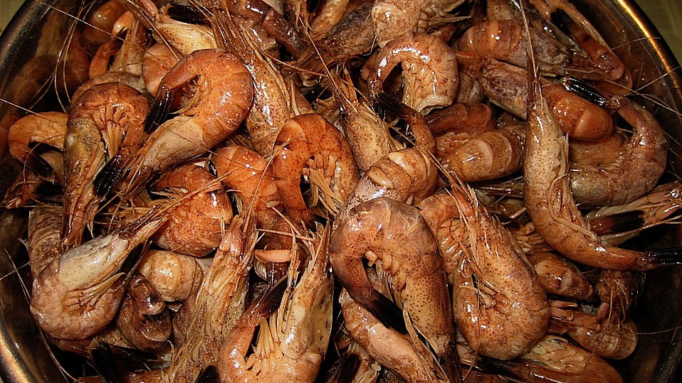 Büsumer Krabbensuppe von Lisa50 Büsumer Krabbensuppe von Lisa50