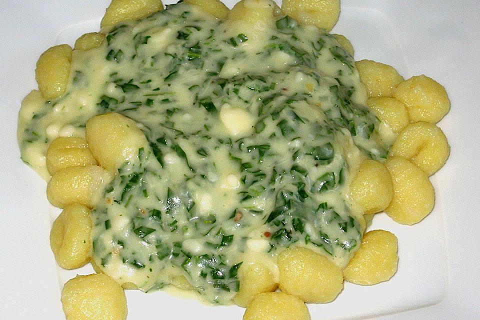 Gnocchi mit Rucola - Käse - Sauce