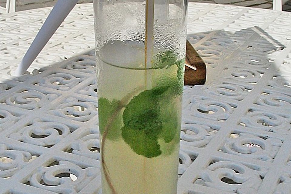 Mojito