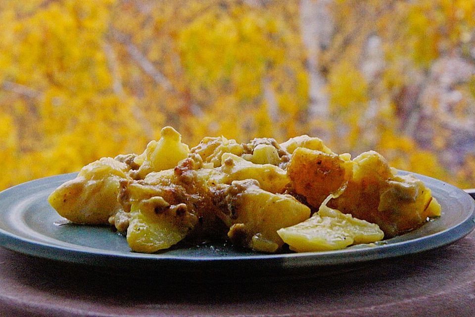 Kartoffel - Hack - Auflauf in Curry - Käsesosse