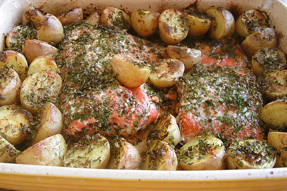 Kartoffel - Lachs - Gratin