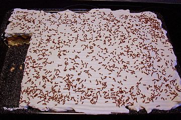 Pfirsich - Schmand - Kuchen