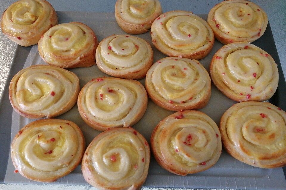Puddingschnecken Puddingschnecken