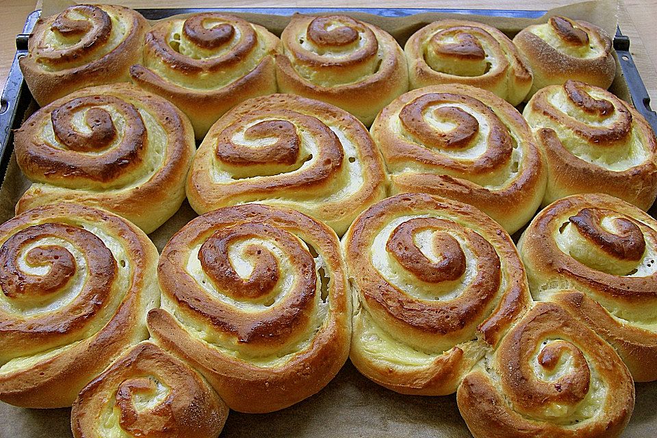 Puddingschnecken Puddingschnecken