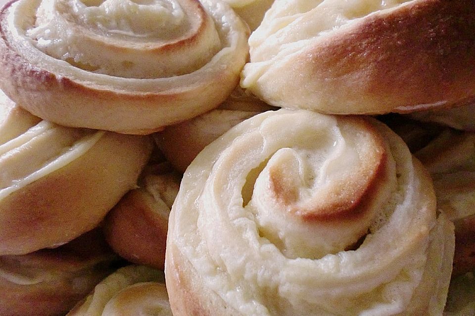 Puddingschnecken Puddingschnecken