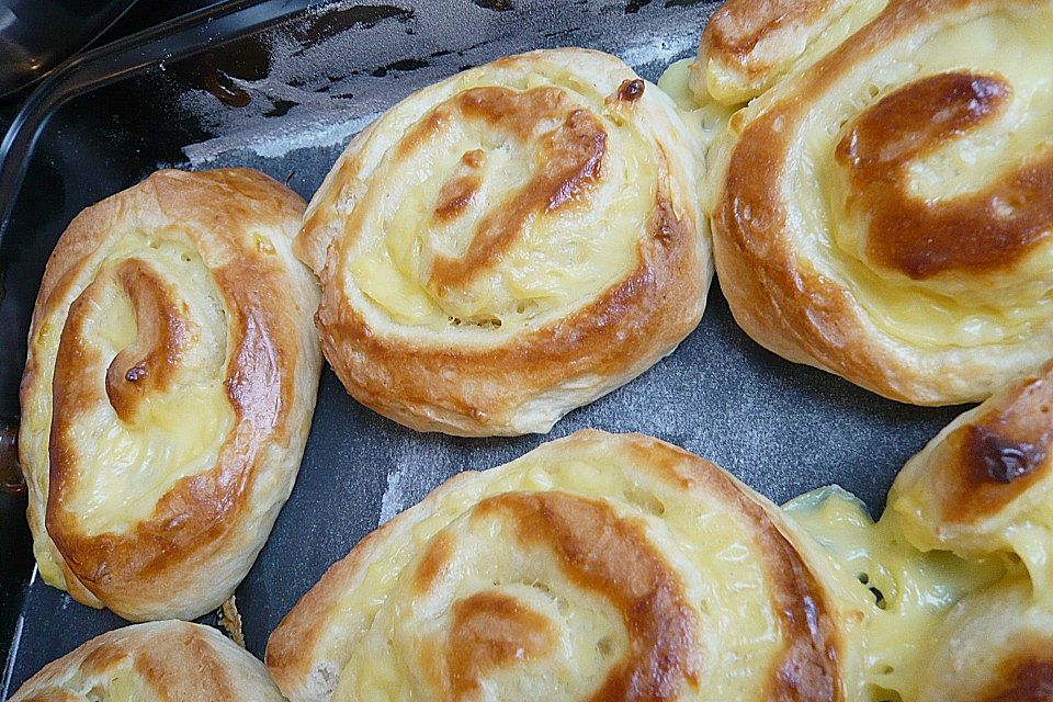 Puddingschnecken Puddingschnecken