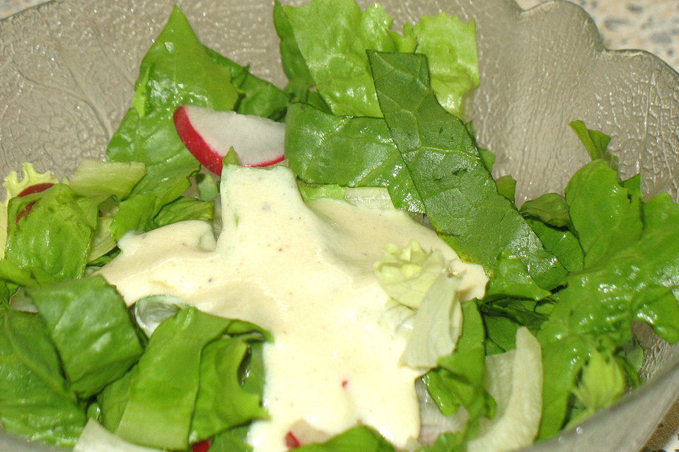 Joghurt - Senf - Dressing