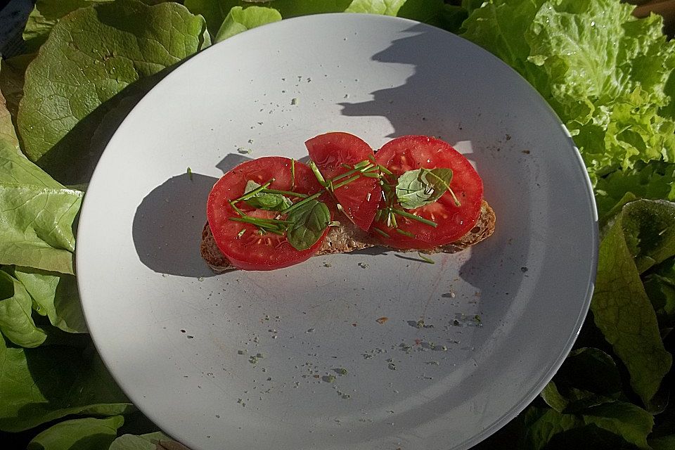 Röstbrot mit Tomaten