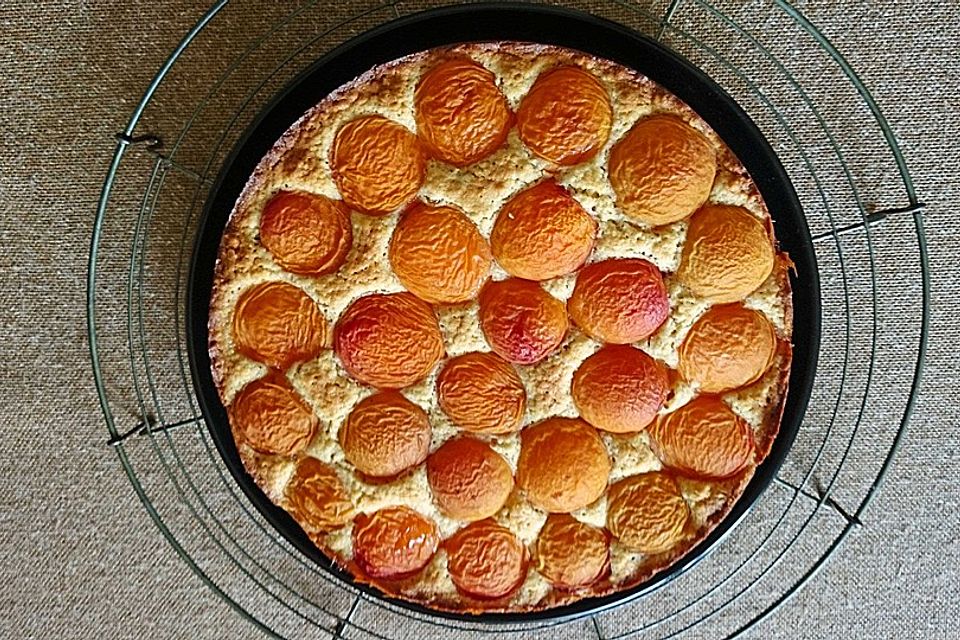 Aprikosenkuchen