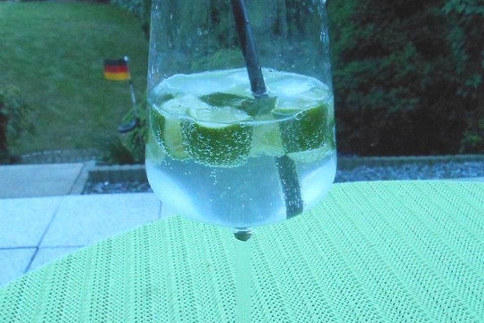 Gin Tonic