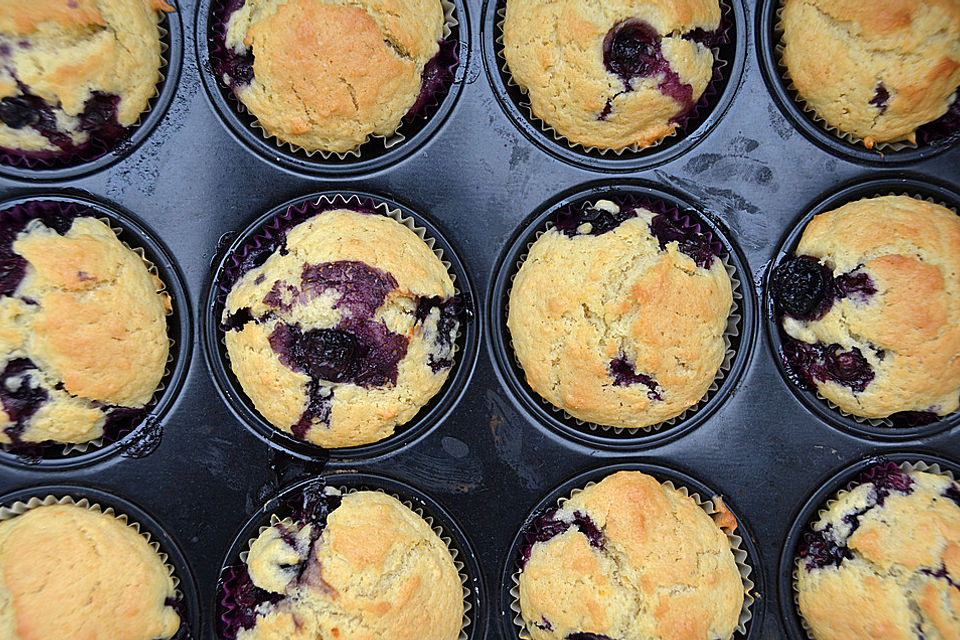 Mile high Blueberry Muffins