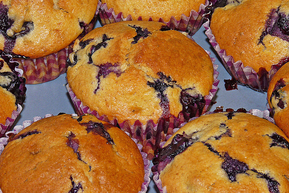 Mile high Blueberry Muffins