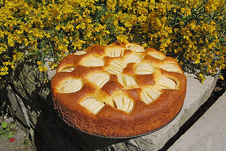 Apfelkuchen Apfelkuchen
