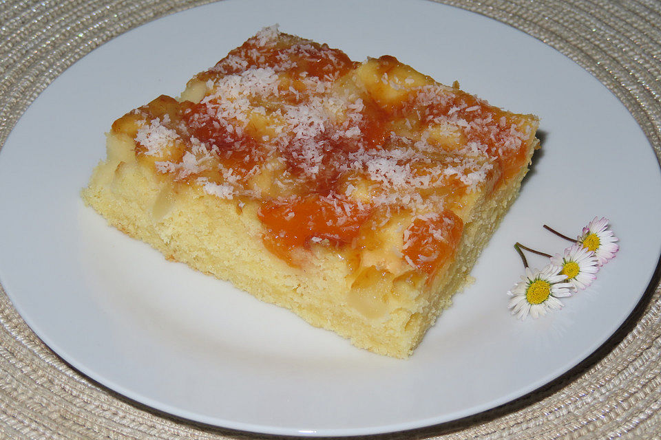 Ananas - Mandarinen - Blechkuchen