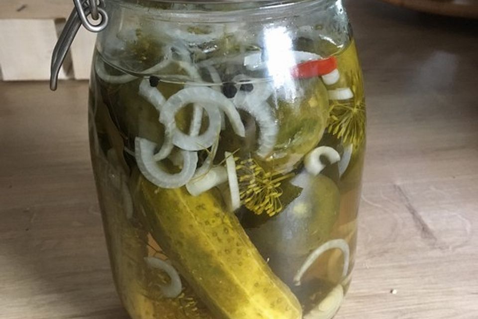 Schnelle Einlegegurken - Schnellgurken