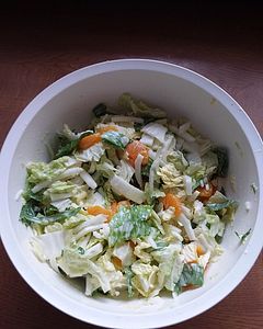 Chinakohlsalat Rezepte | Chefkoch