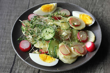 Rettich - Radieschen - Salat mit Senf - Dressing