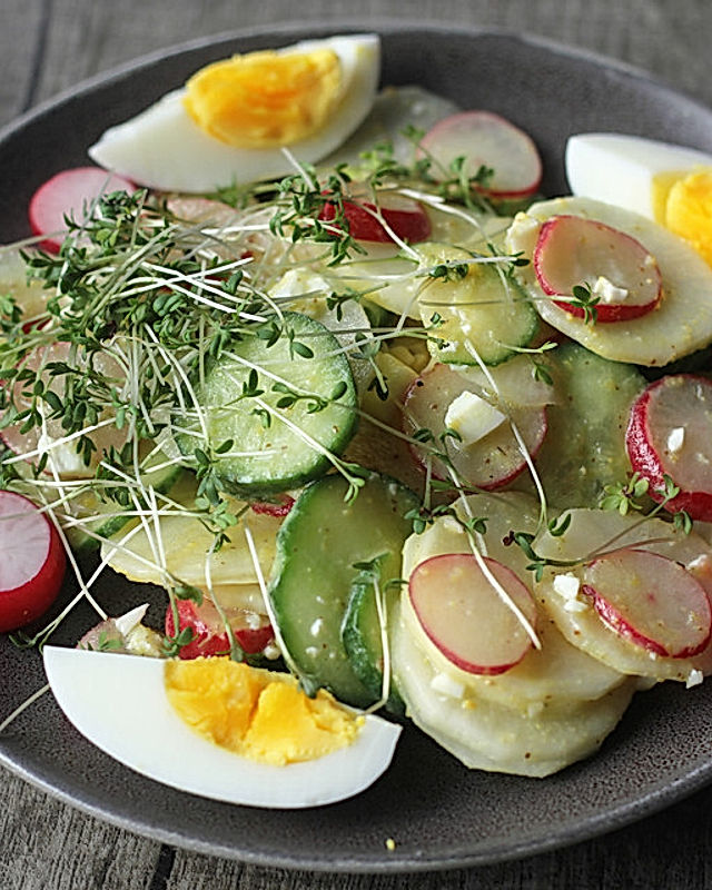 Rettich - Radieschen - Salat mit Senf - Dressing