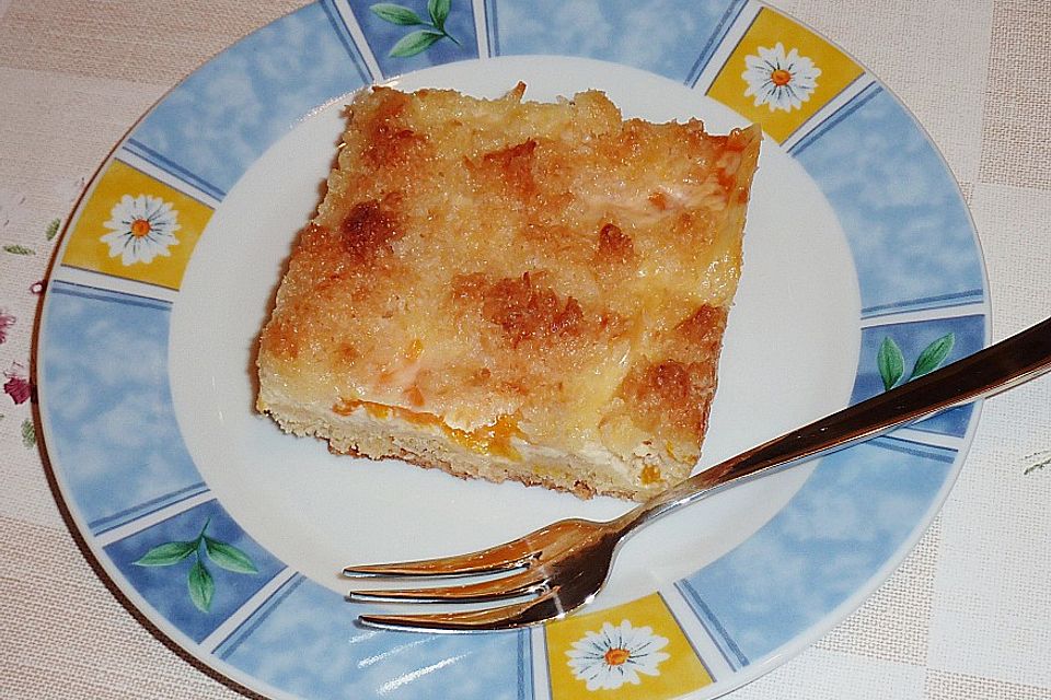 Mandarinen - Kuchen mit Kokosstreuseln