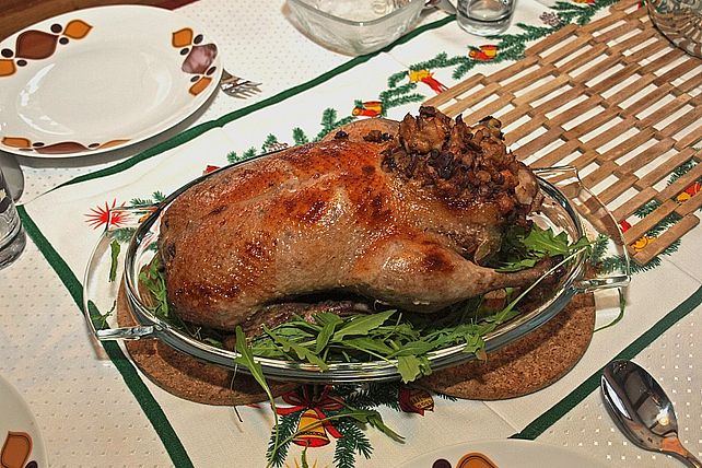 Ente von lucathorsten| Chefkoch