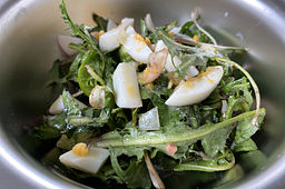 Lowenzahnsalat Rezepte Chefkoch 