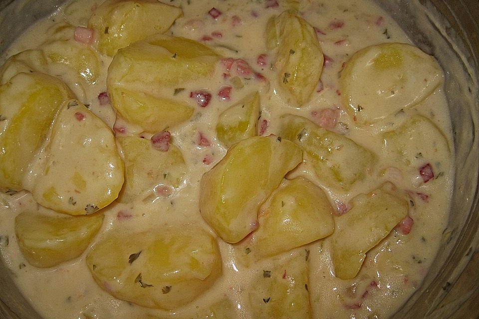 Bechamel - Kartoffeln