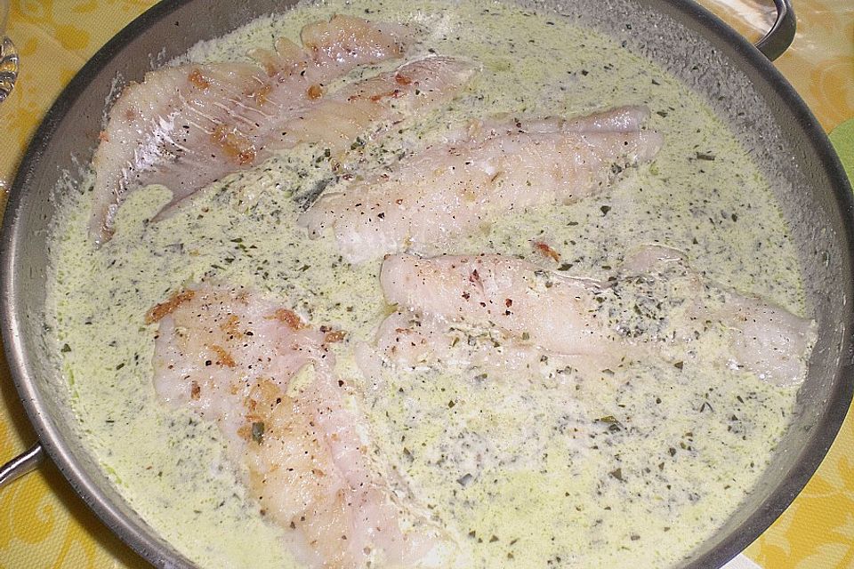 Rotbarsch in Bärlauch - Limetten - Senf - Sauce