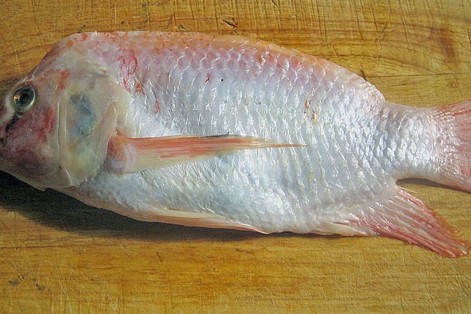 Tilapia - Pocketfisch mit exotischer Füllung