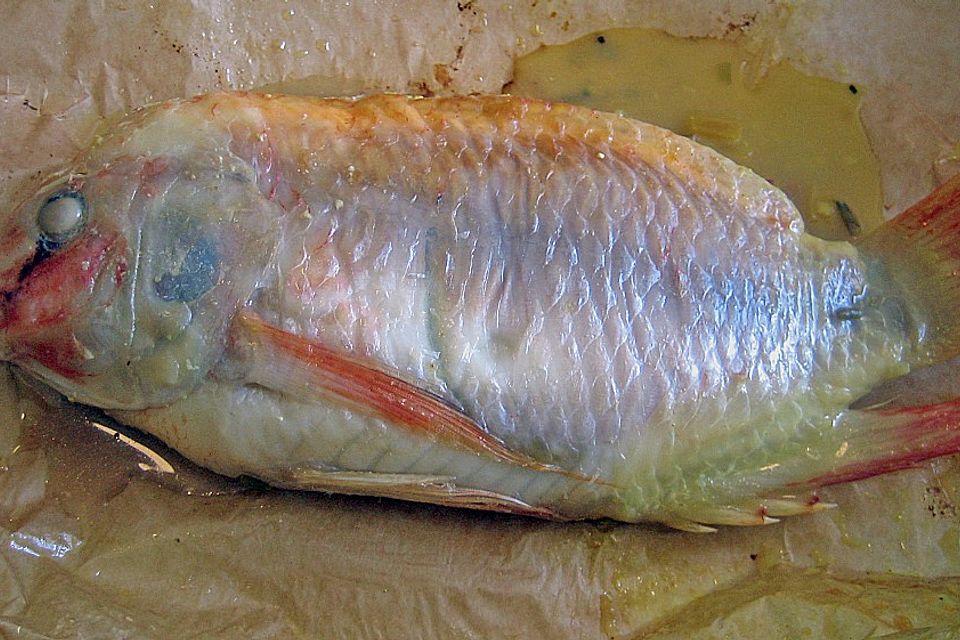 Tilapia - Pocketfisch mit exotischer Füllung