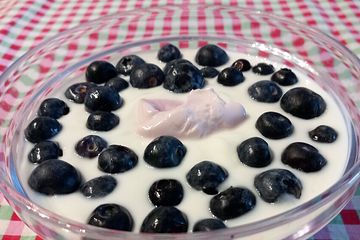 Joghurt - Creme mit Heidelbeeren