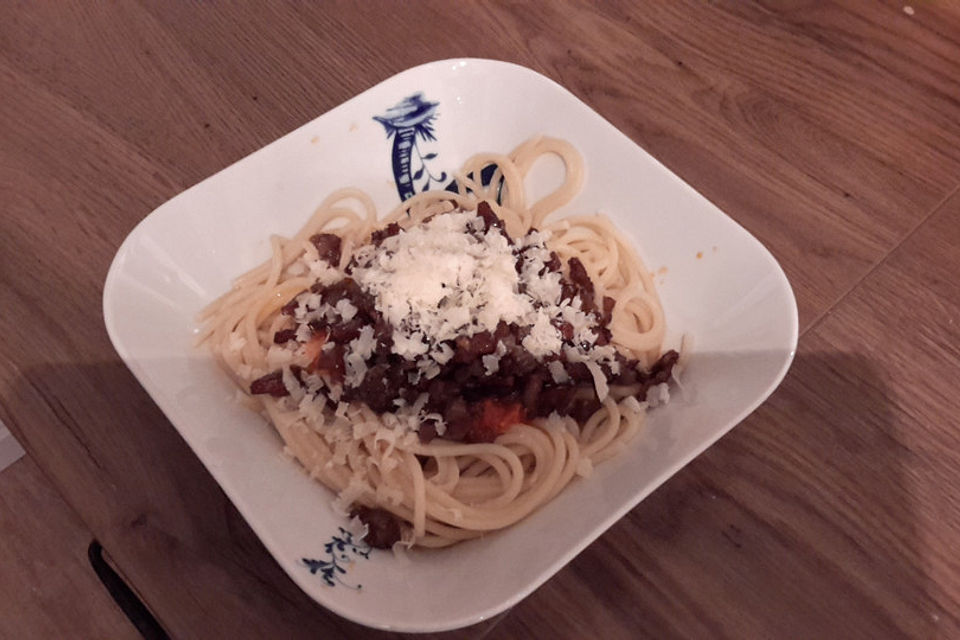 Salami - Zwiebelsauce für Spagetti