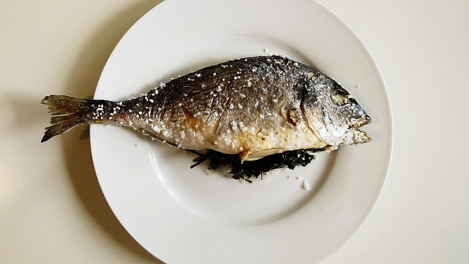 Dorade Im Salzmantel Von Kochdrachenmaus Chefkoch 