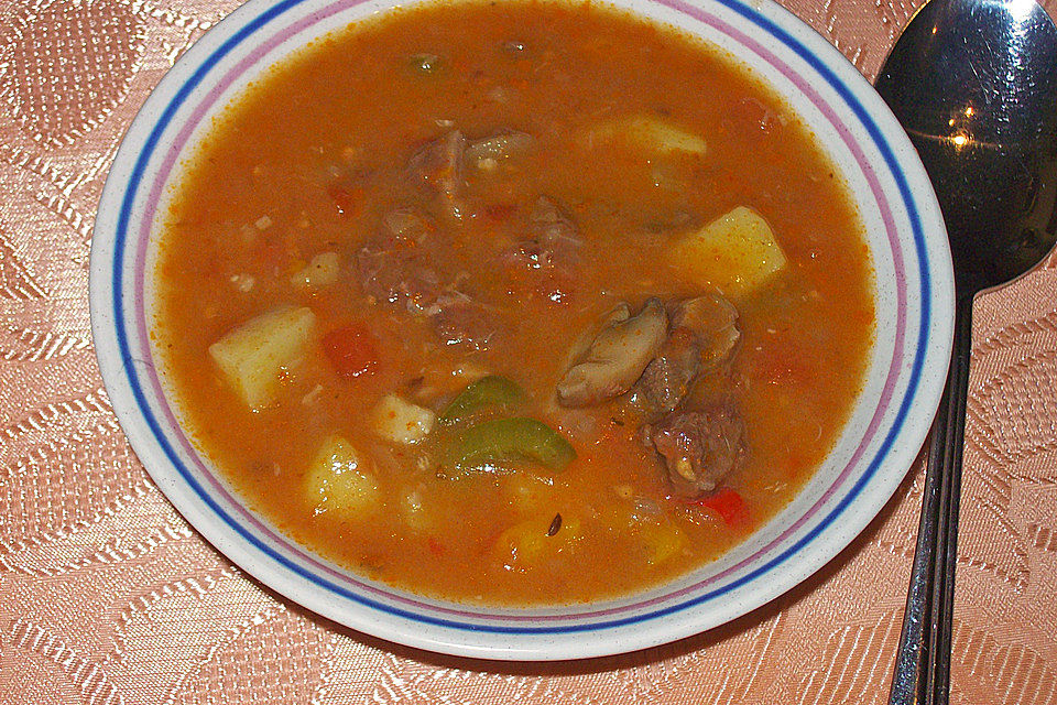 Budapester Gulaschsuppe