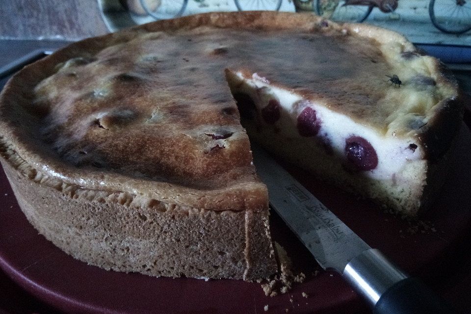 Käse - Kirsch - Kuchen