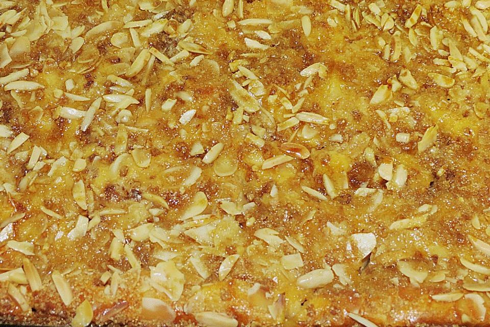 Apfel - Rahmkuchen mit Mandelkuste