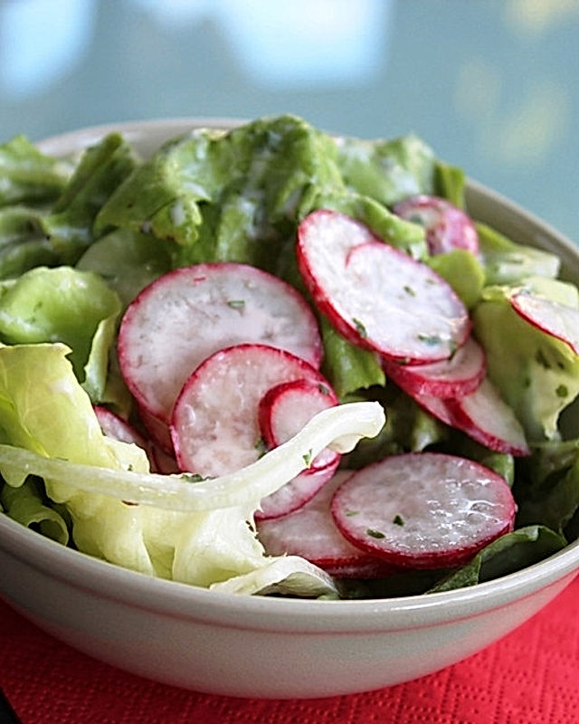 Blattsalate mit Radieschen und Apfeldressing