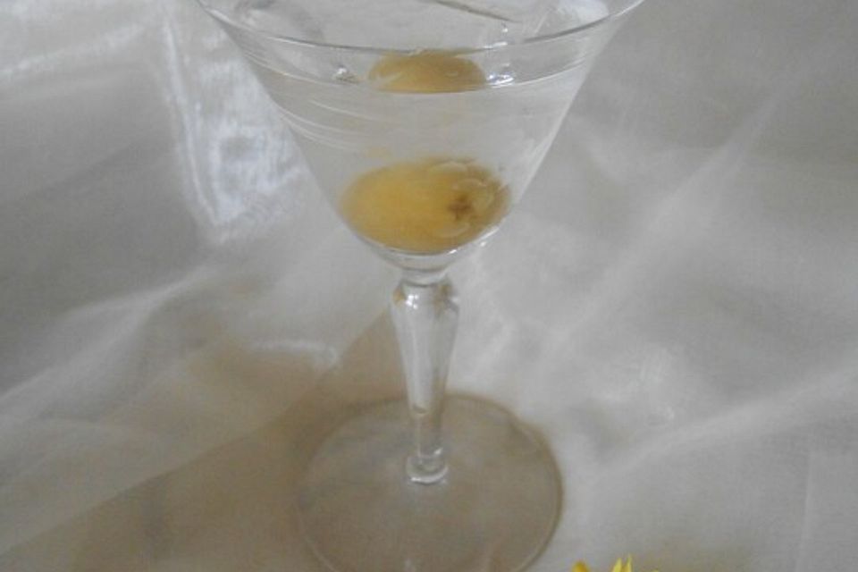 Martini Cocktail (plain vanilla)