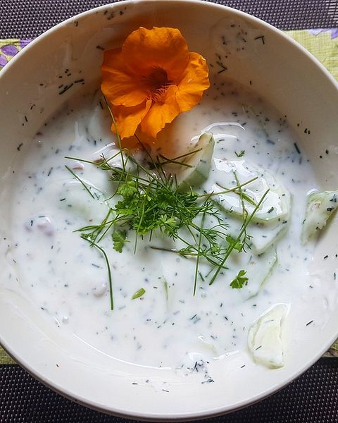 Bulgarische Rezepte | Chefkoch