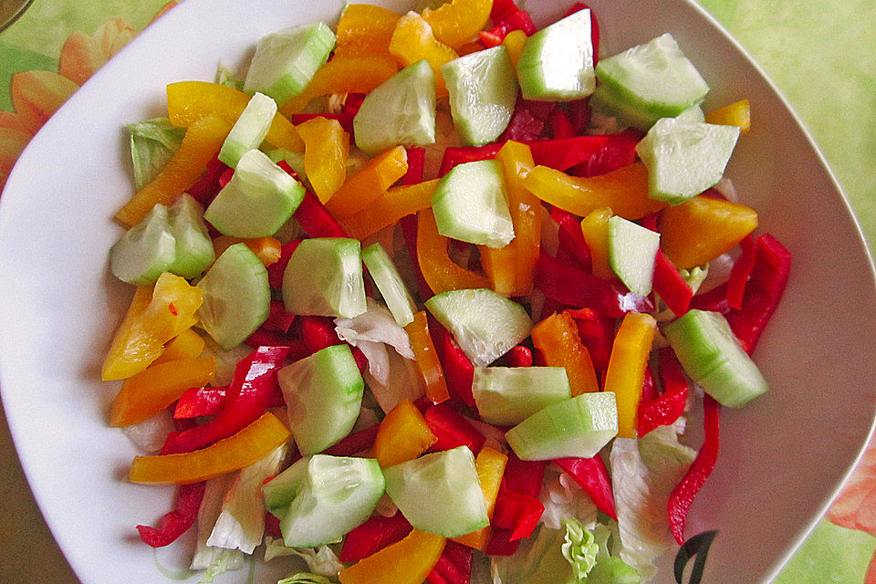 Bunter Salat mit Putenbruststreifen