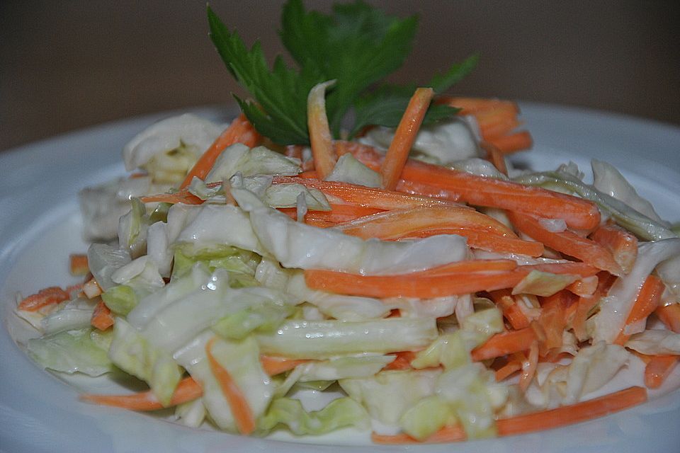 Weißkraut - Karotten - Salat